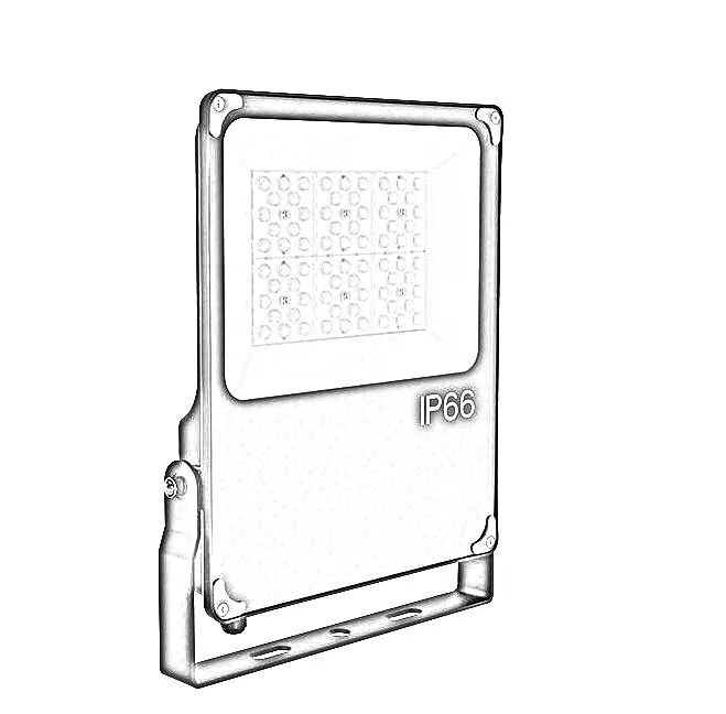 LED Flood Light