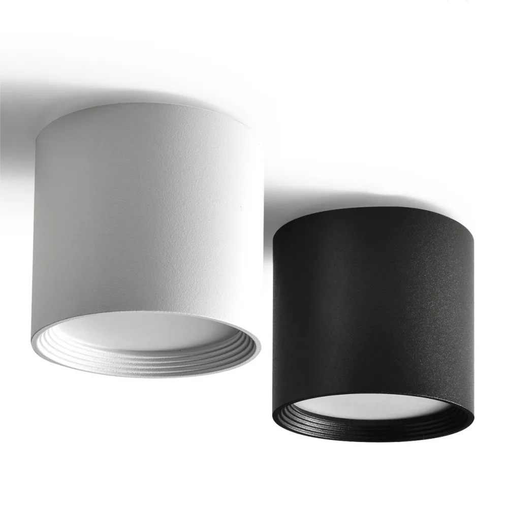 Surface mounted downlight