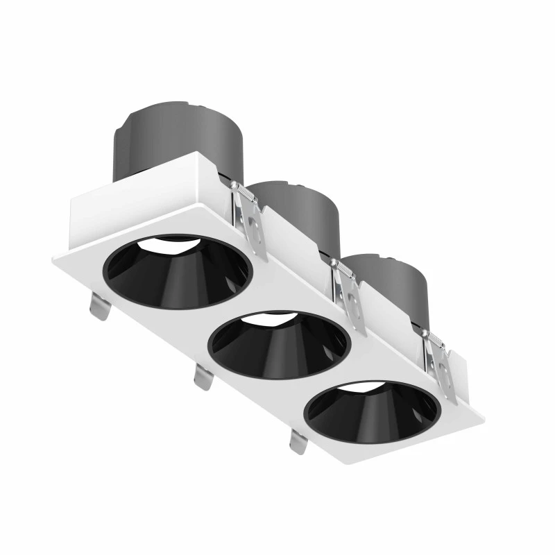 DL4015-3-2 DL4015 LED Downlight with Cree COB Technology, Adjustable Angle, Dual-Head, 5-Year Warranty