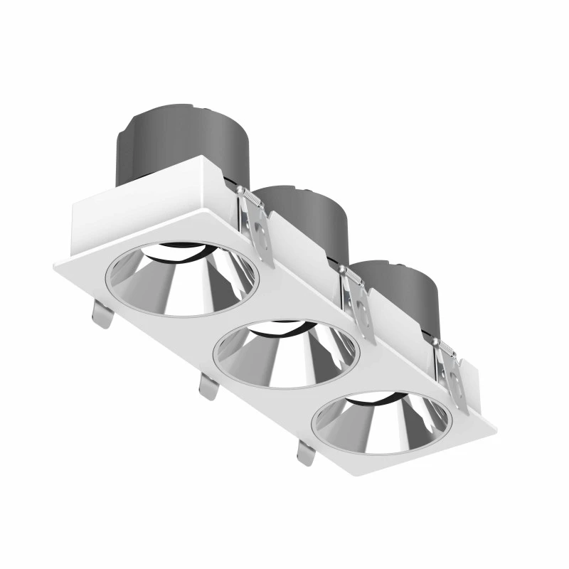 DL4015-3-3 DL4015 LED Downlight with Cree COB Technology, Adjustable Angle, Dual-Head, 5-Year Warranty