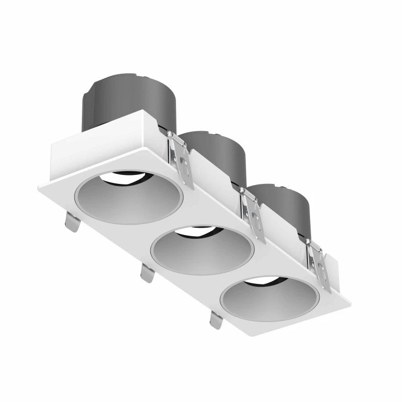DL4015-3-6 DL4015 LED Downlight with Cree COB Technology, Adjustable Angle, Dual-Head, 5-Year Warranty