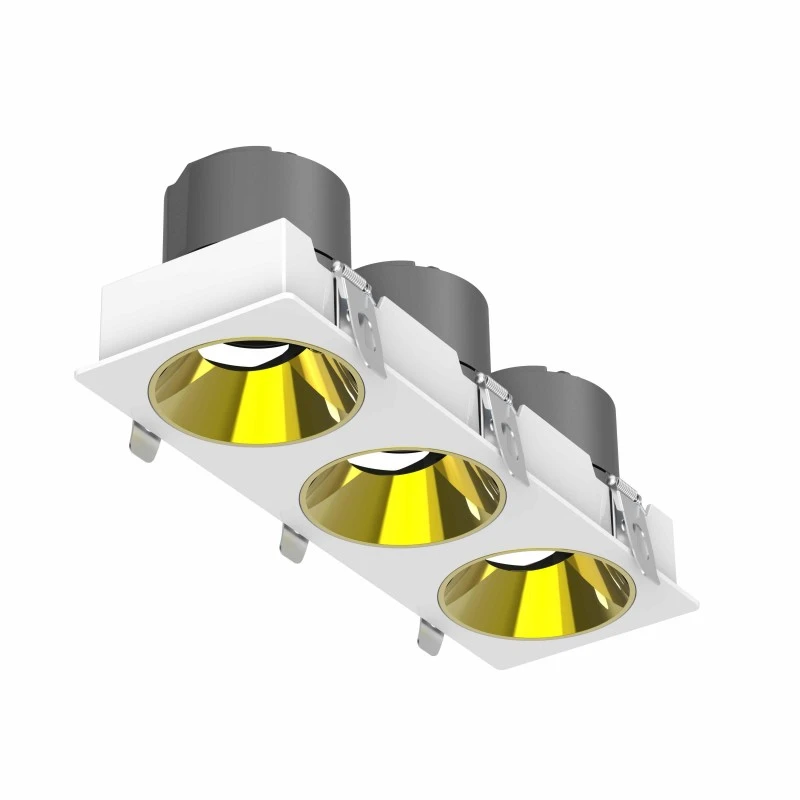 DL4015-3-8 DL4015 LED Downlight with Cree COB Technology, Adjustable Angle, Dual-Head, 5-Year Warranty