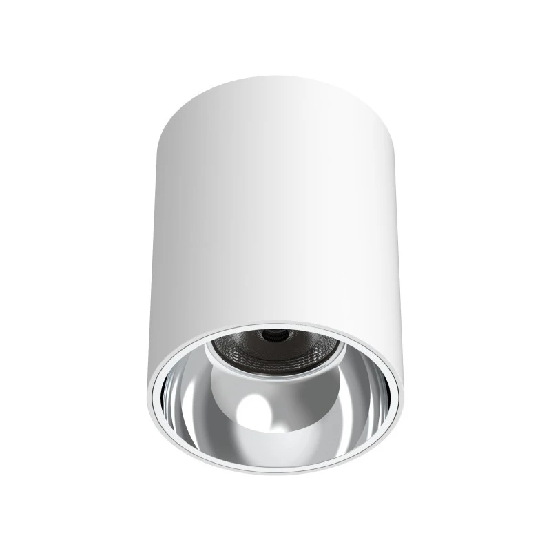 LEDTEK DL4048 IP65 Surface-mounted LED Downlight